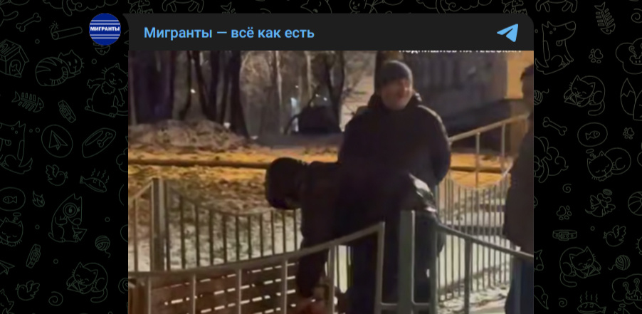 Фото: Telegram-канал "Мигранты - всё как есть"