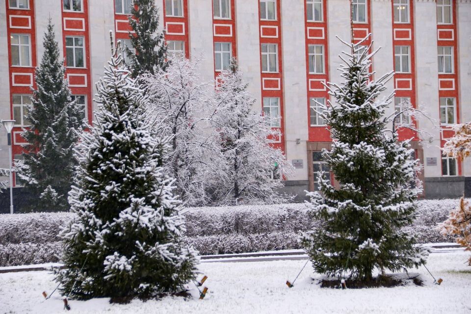    Снег в Барнауле, погода. Источник: Виталий Барабаш