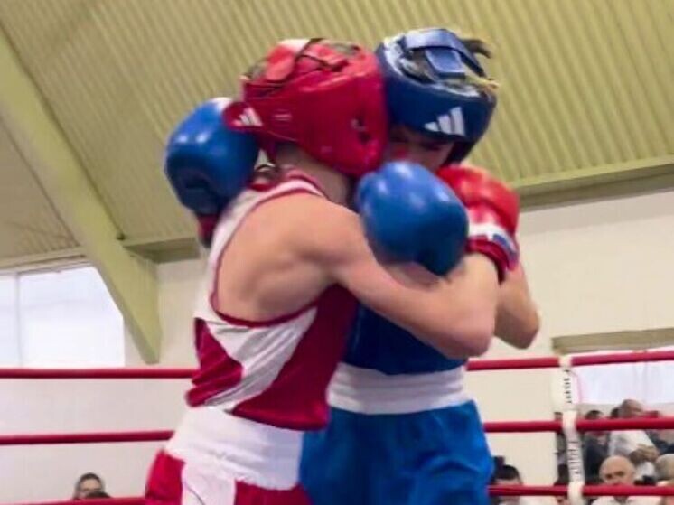     Видео: Федерации бокса Курской области