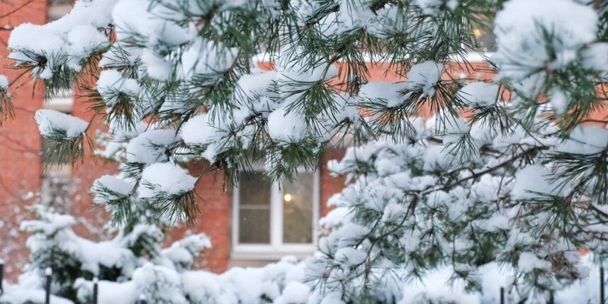    Алена Бобрович