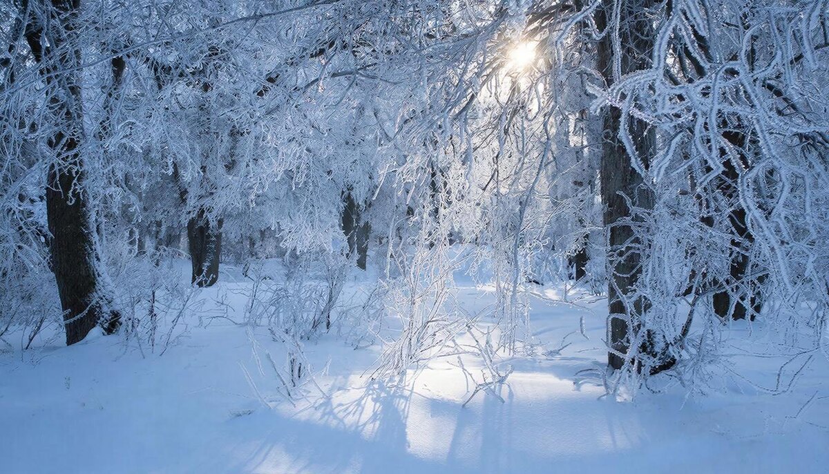 День мягко приятный, используйте его, чтобы замедлиться в предновогодней суете.