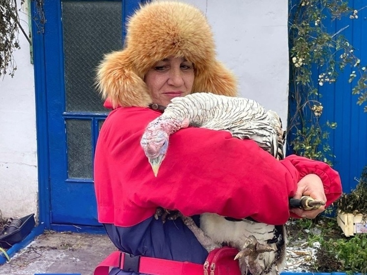     Соцконтракт помог белгородке развить личное подсобное хозяйство, фото: vk.com/id531552709