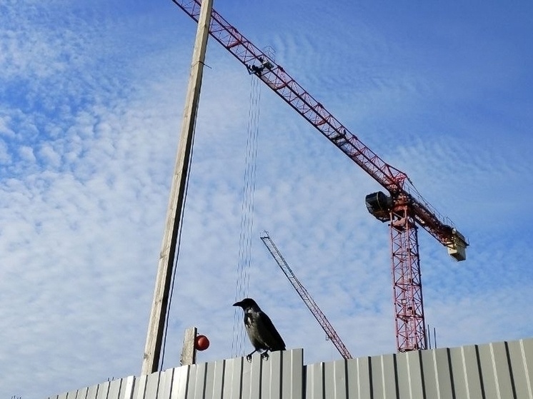     В Хакасии отменили мораторий на штрафы за срыв сроков строительства. Фото: архив Мк в Хакасии