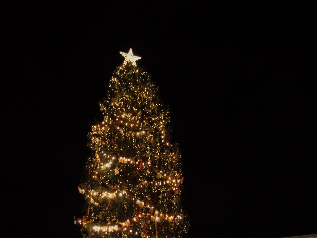     Фото: "Бриф24"