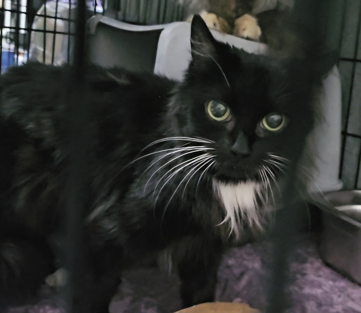 Фото автора. Таша.