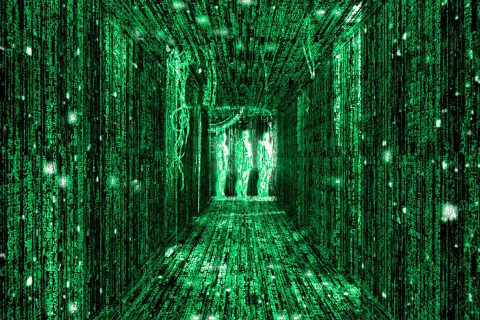 Фото из свободных источников.