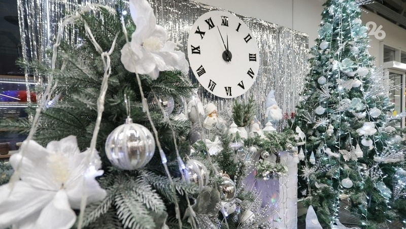      Фото: Дмитрий Ахмадуллин / / ИА «Победа26»