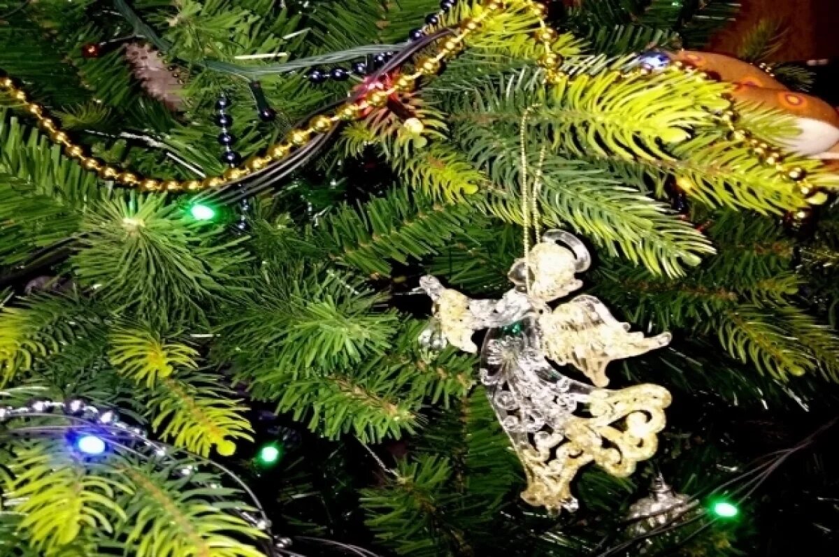    Юрист Борзенко объяснила, как защитить жилье на время отъезда на праздники