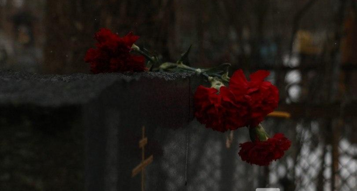    Фото с сайта id.vgoroden.ru