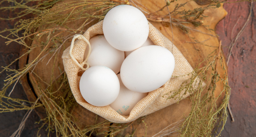    Фото с сайта freepik.com