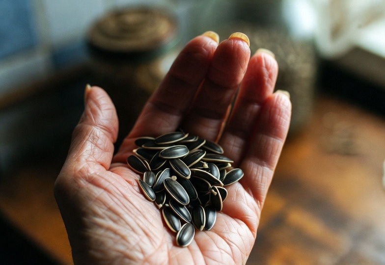 Семечки против желудка: что говорят гастроэнтерологи о главном пищевом дисбалансе