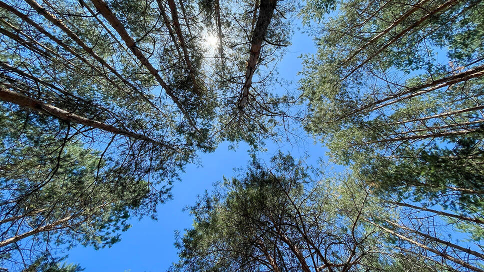 Фото: Игорь Елисеев / Коммерсантъ