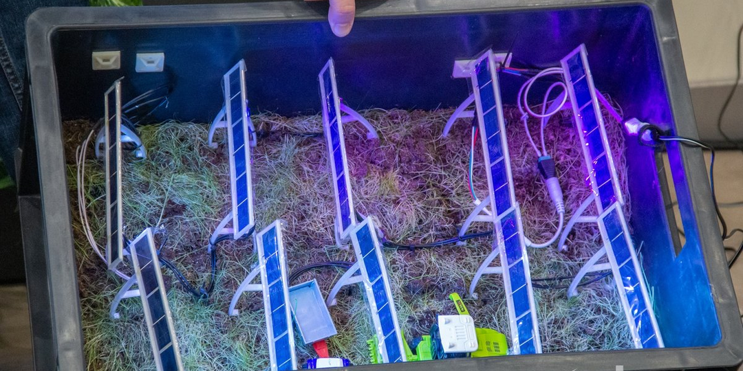 Солнечная энергия и сельское хозяйство: в МГТУ им. Н. Э. Баумана разрабатывает сервис для агровольтаических технологий