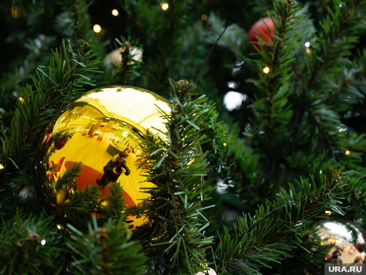     Последние дни 2025 года в Кургане наполнены событиями с атмосферой Нового года