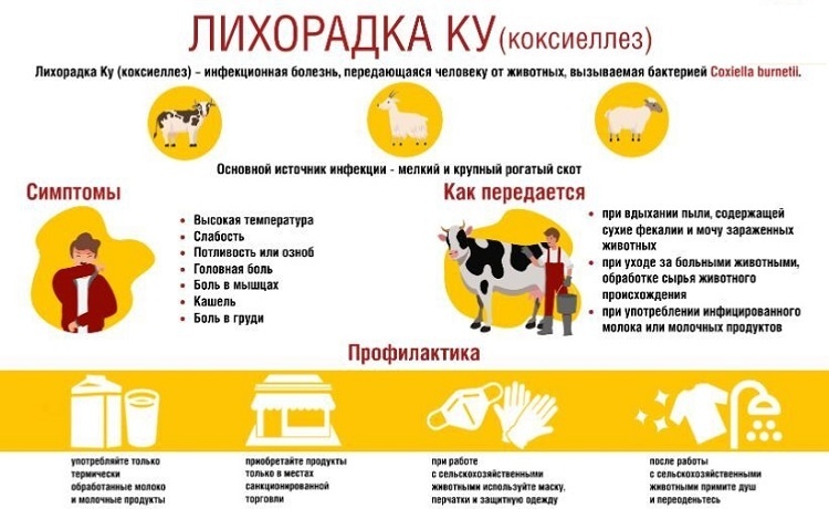    Фото сообщества управления ветеринарии РО Редактор