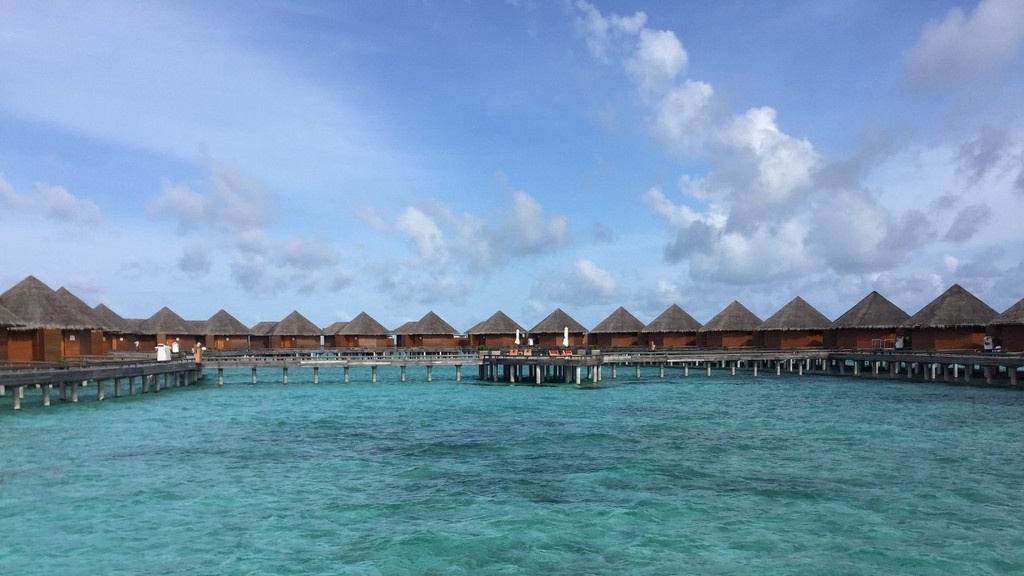    Фото © flickr.com / Simon_sees