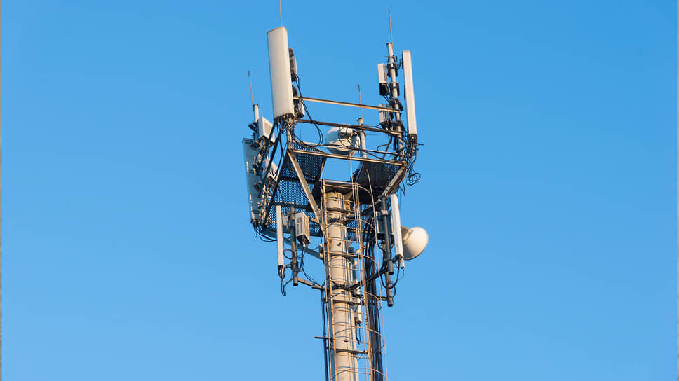 Фото: Игорь Елисеев / Коммерсантъ