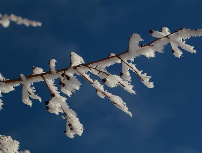    ФОТО: Белова Александра