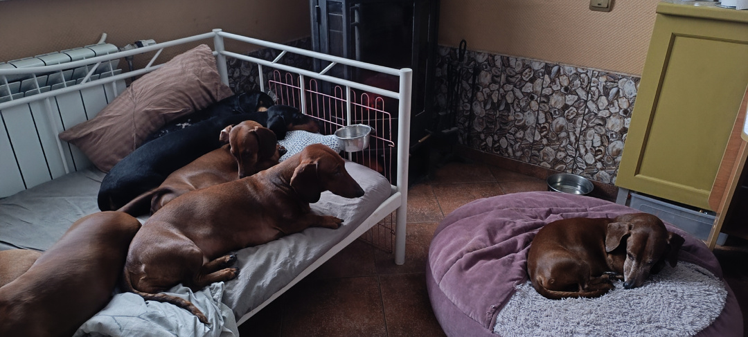 Ещё немного ближе...8