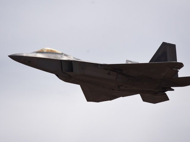    Фото: 123RF.com/wirestock