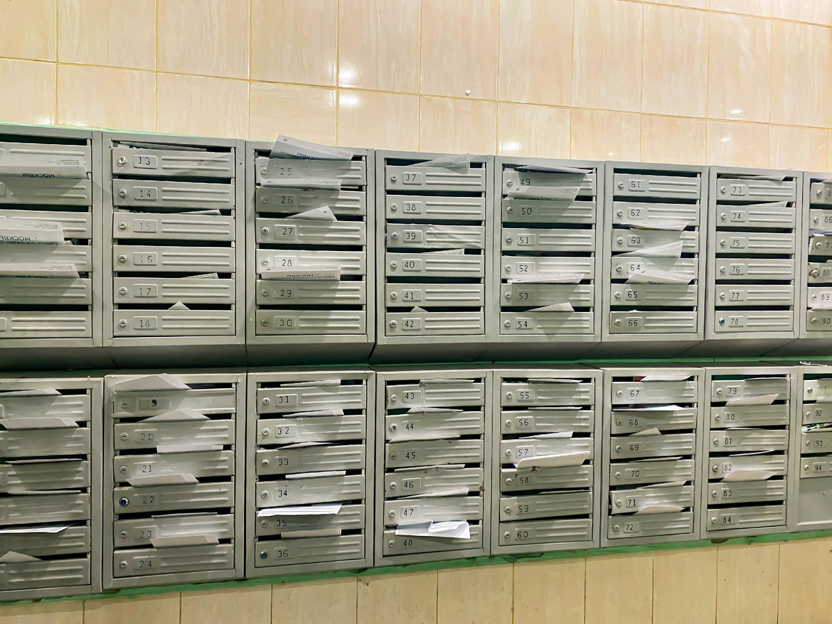 Фото: Shutterstock