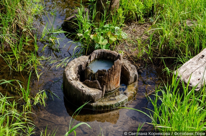 Рассолоподъёмные трубы в деревне Варницы Тотемского района Вологодской области
