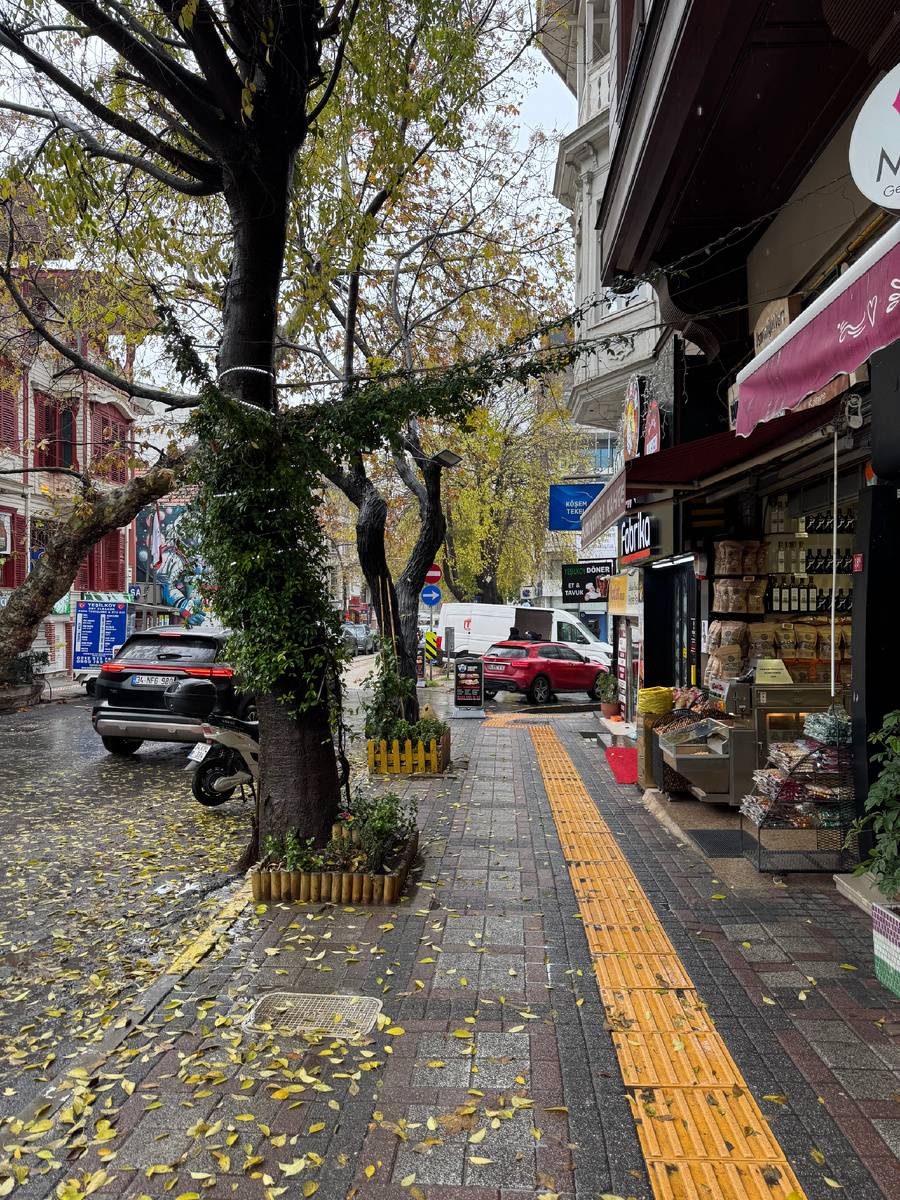 Вот тебе и конец декабря ✨