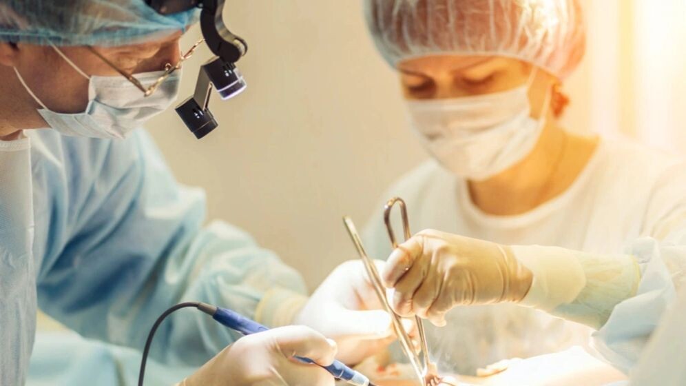    Фото: Shakirov Albert/Shutterstock/Fotodom