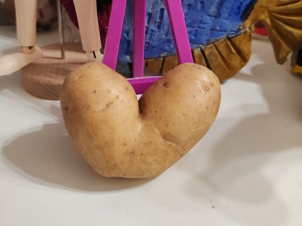     Фото: личный архив Антона