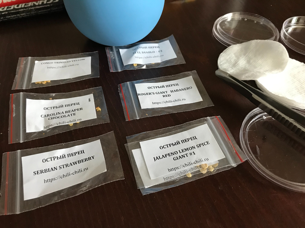  результат моей  покупки