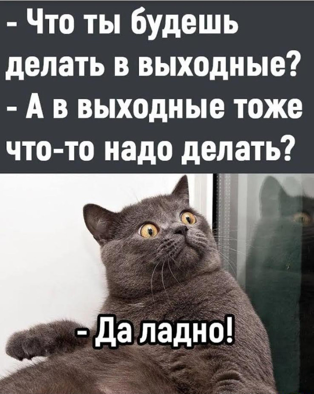 изображение с просторов интернета