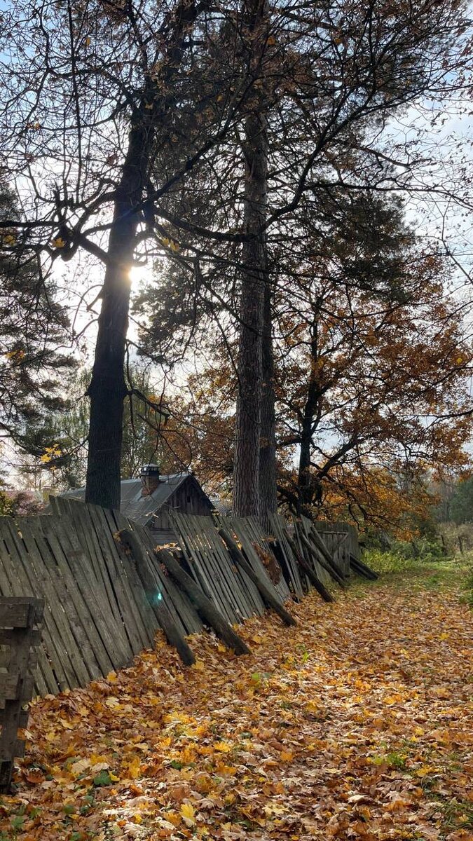 Автор фото: Анастасия Еремина