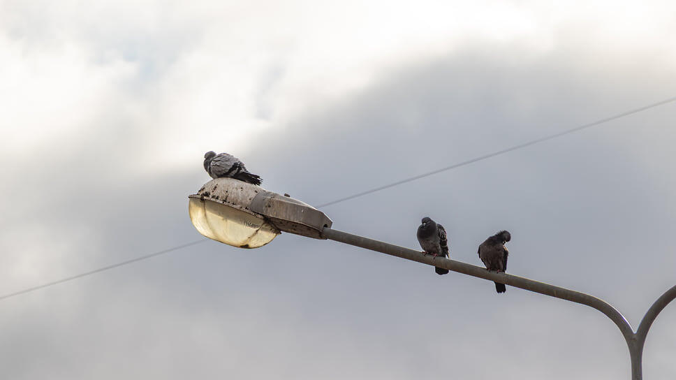Фото: Егор Снетков / Коммерсантъ