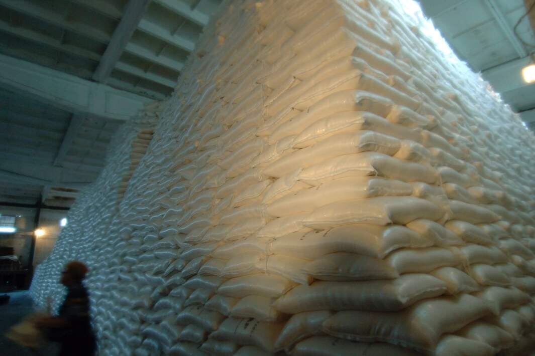 Фото: РИА Новости/Владимир Вяткин