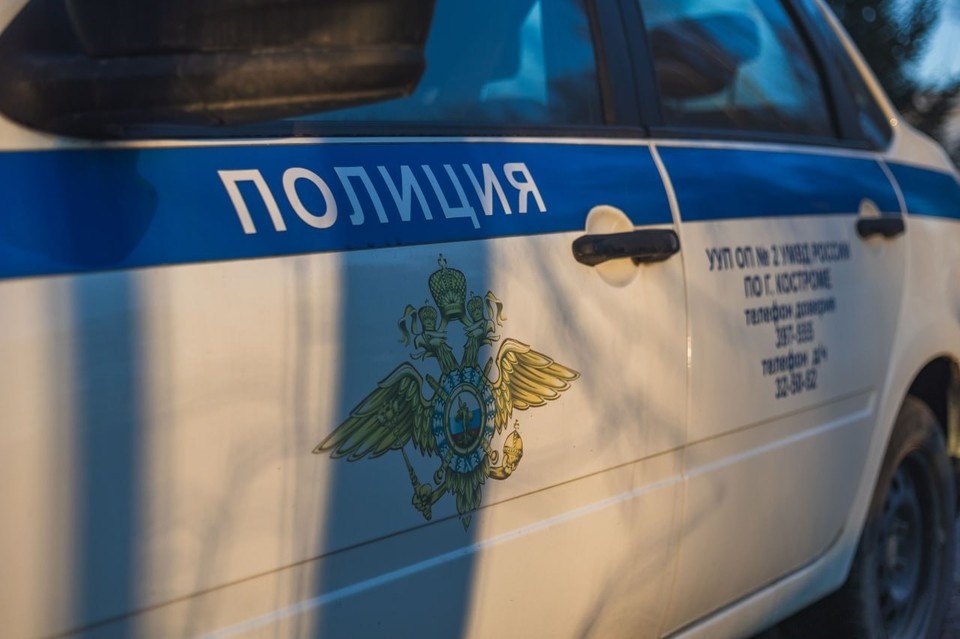    Фото: пресс-служба УМВД России по Костромской области