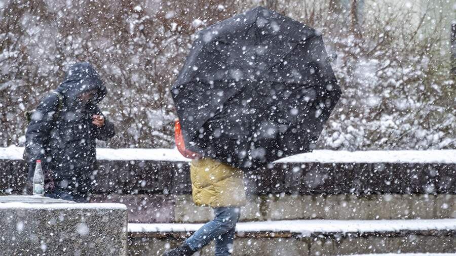    Фото: ИЗВЕСТИЯ/Константин Кокошкин