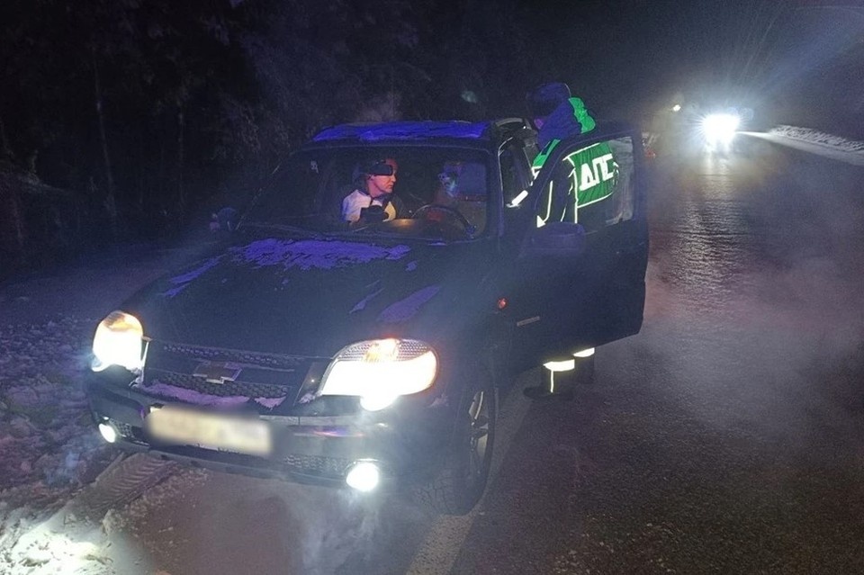    Семью, замерзающую на Серовском тракте, спасли инспекторы ДПС. Фото: Госавтоинспекция Свердловской области