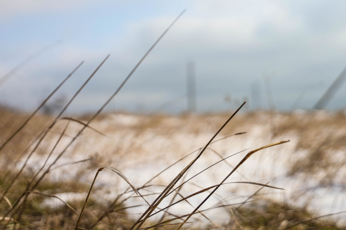    Фото: ТРК «Таврия»