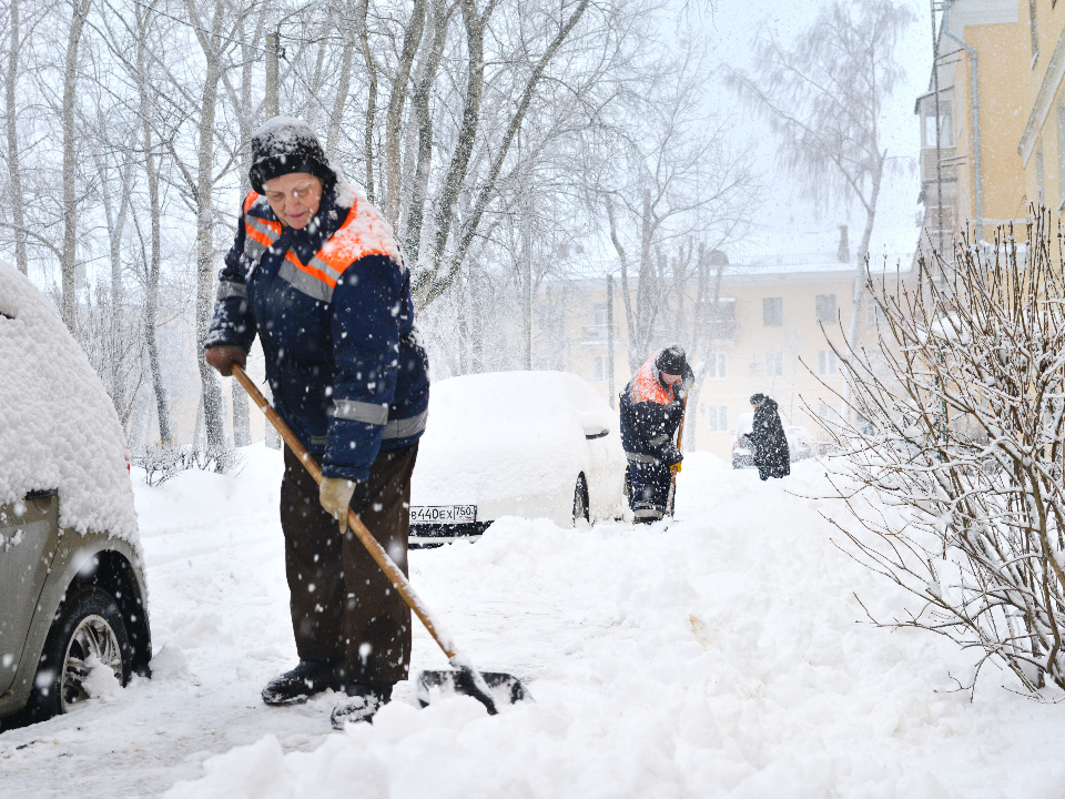    Фото: медиасток.рф