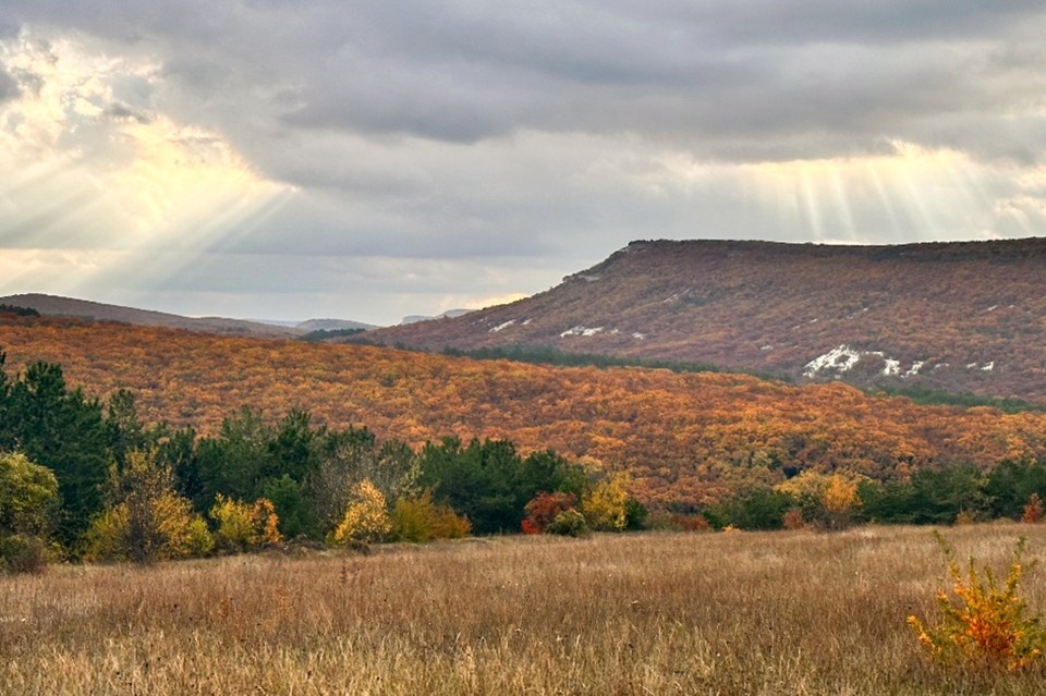    Материалы по созданию ООПТ прошли обсуждения и межведомственные согласования. Фото: сайт Главы Республики Крым