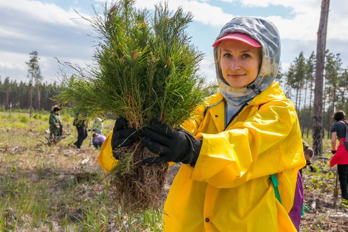 Фото: РусКлиматФонд