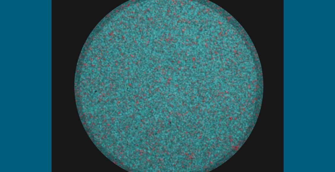    Фото: ФИЦ «Институт катализа СО РАН»