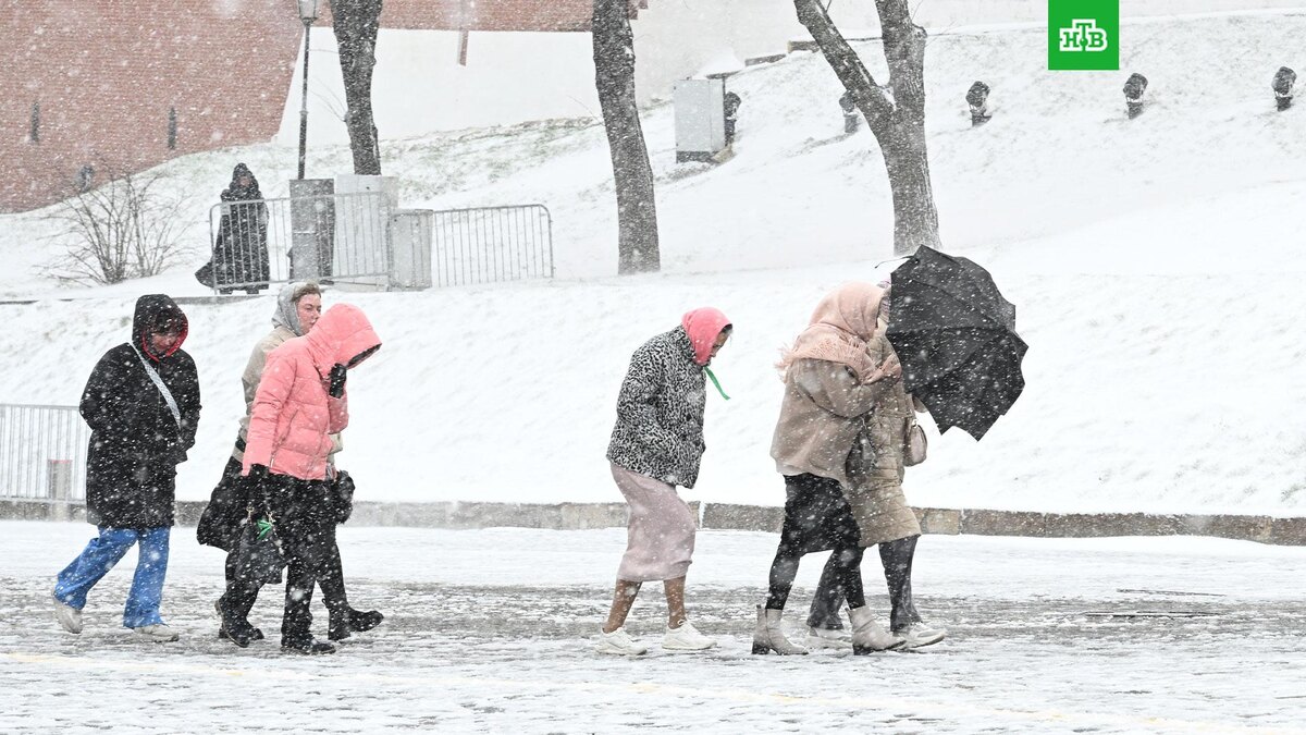    Фото: РИА Новости © 2025, Михаил Воскресенский