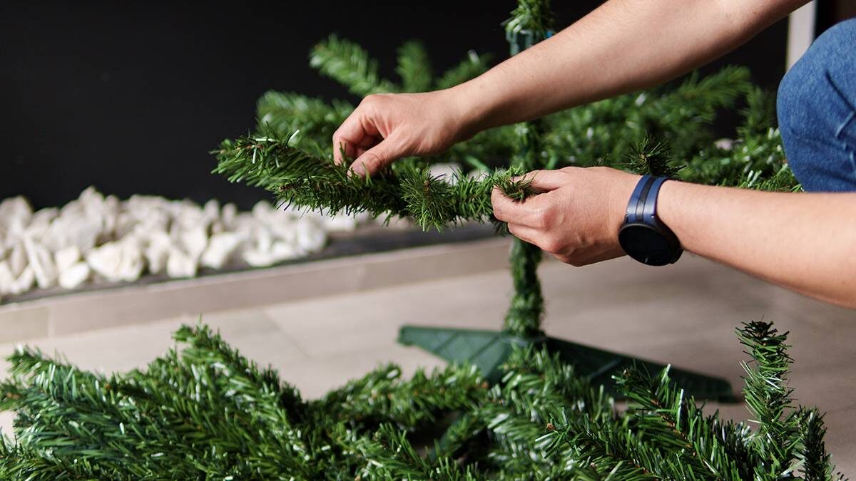    Фото: Shutterstock