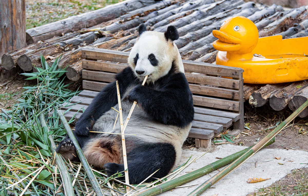 Илья Аверьянов/ТАСС