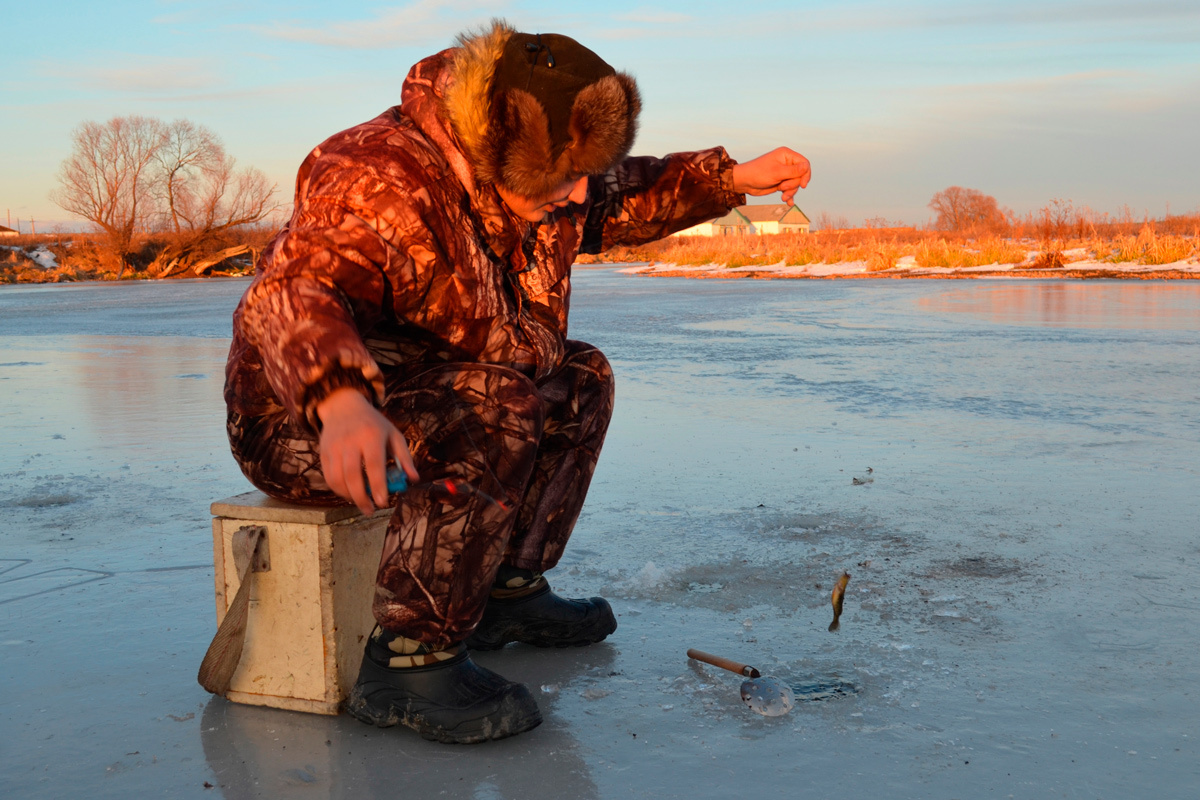    Фото: Igor Bukhalev / Shutterstock.com