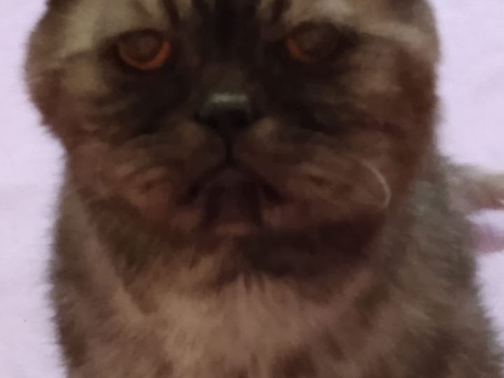 Якут обрёл свой дом и сменил имя!