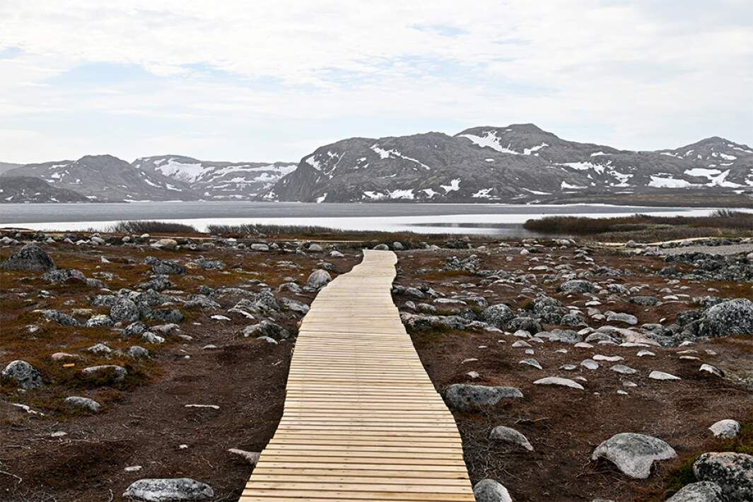 Фото: ТАСС/Лев Федосеев