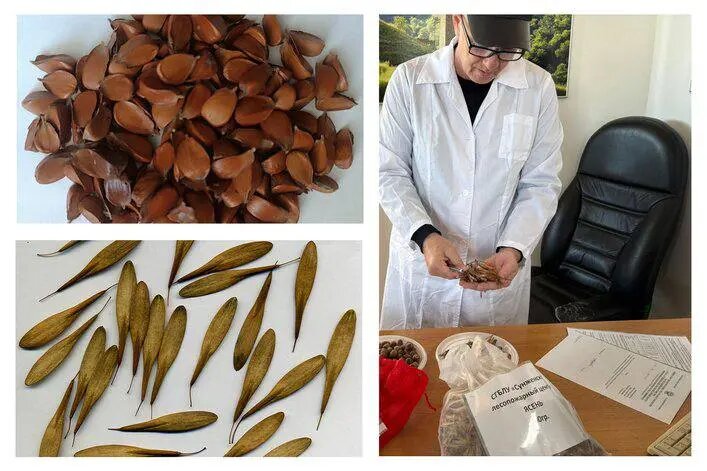 Фото:пресс-служба Минприроды Ингушетии