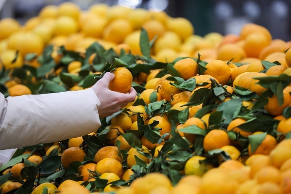 Фото: Кирилл Кухмарь/ТАСС
